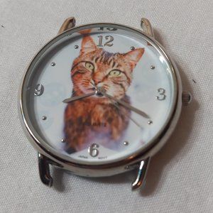 Rachael Hale Tabby Cat Watch